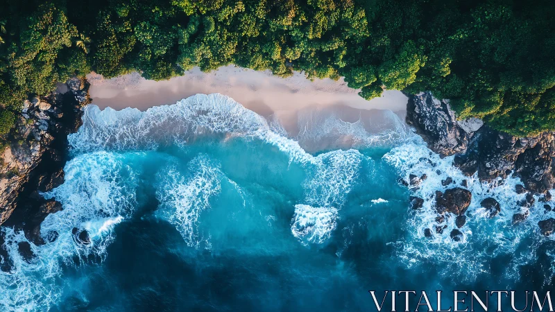 Vertical drone coastline study with waves, sand and foliage