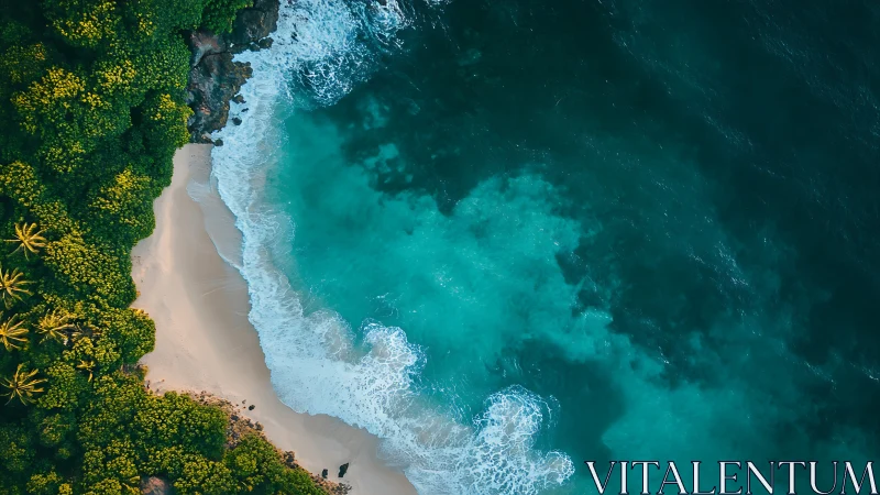 Tropical shoreline curves between dense jungle and teal sea