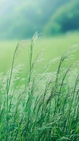 Morning meadow grasses sway under soft green haze light.