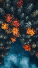Autumn forest crowns frame deep blue reflective water.
