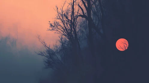 Bare tree silhouettes against dusky sky and red sun.