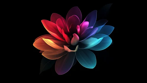 Multicolored abstract flower form on black background.