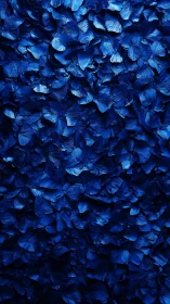 Macro study of layered cobalt blue petals with sculpted texture