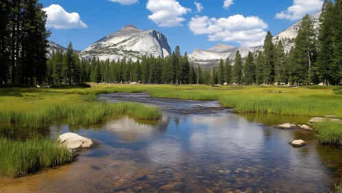 Quiet river meadow beneath bright granite mountain skies.