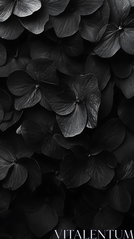 Translucent Flower Petals in Monochromatic Composition