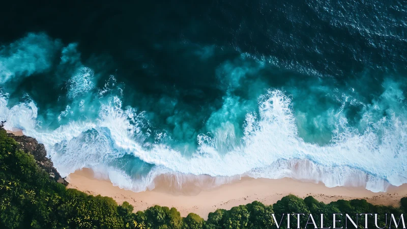 Emerald breakers chase ivory foam onto hidden jungle shore.