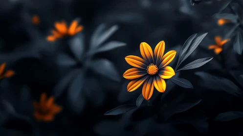 Golden Blooms Pierce Through Shadow's Velvet Theater