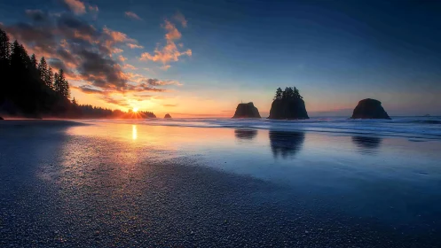 Gentle sunset glow over a quiet rocky evergreen shoreline.