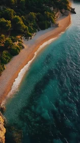 Emerald cove whispers along a sunlit crescent shore.
