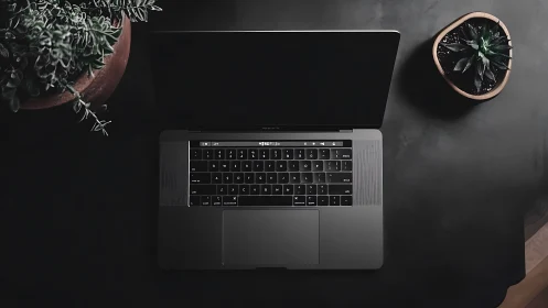 Overhead view of open laptop on dark desk with plants.