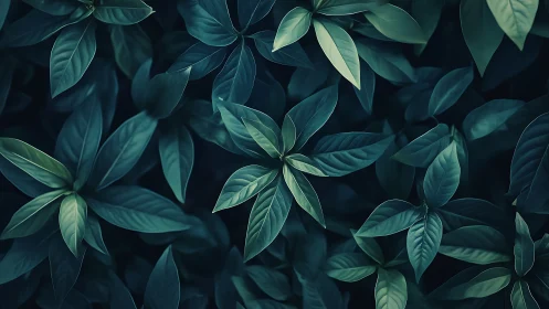 Midnight garden leaves in a calm, deep teal embrace.