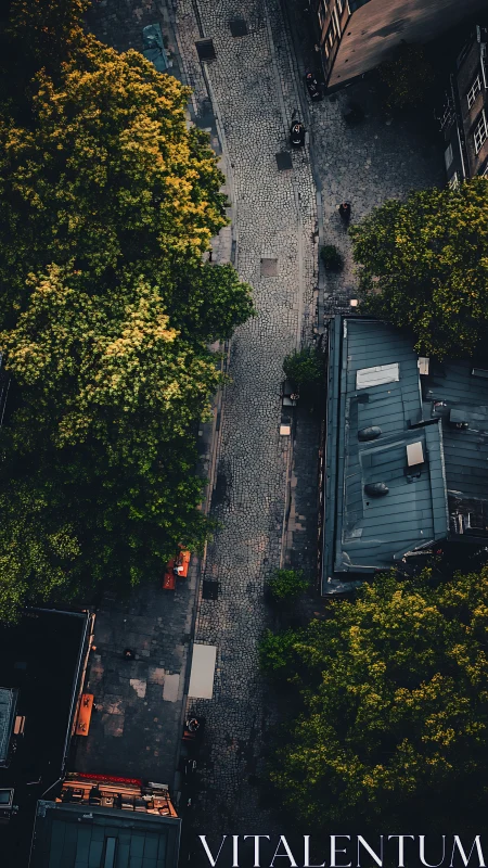 Cobblestone street runs between trees and city rooftops