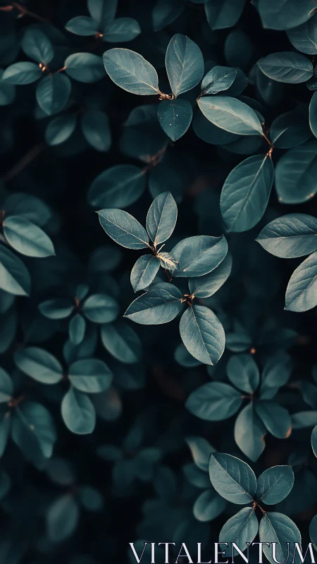 Calm teal leaves layered in a soft, quietly glowing pattern.