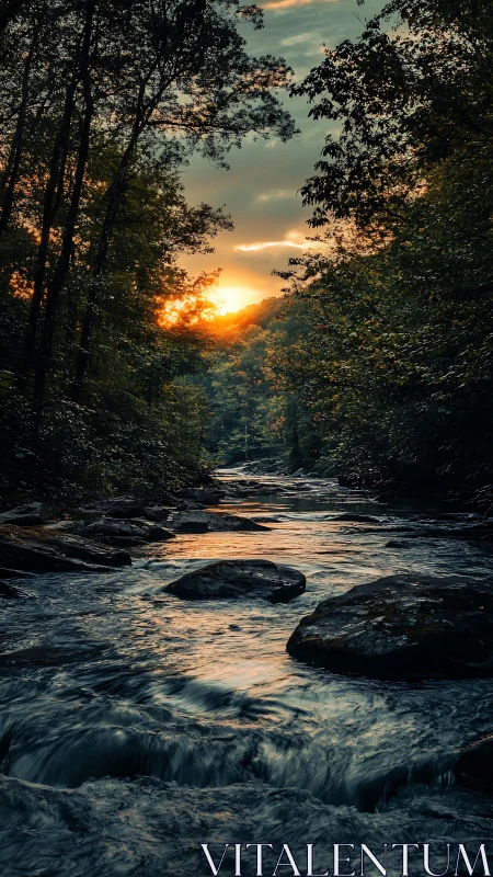 Sunset light over forest creek with flowing water scene.