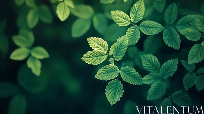 Sunlit green leaves drift gently over a soft forest blur
