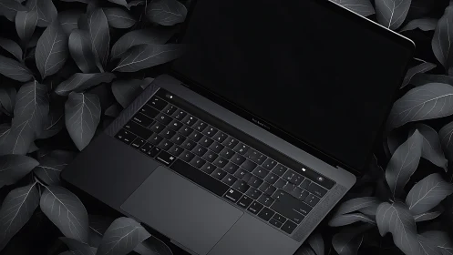 Black laptop on monochrome leaves in overhead composition.