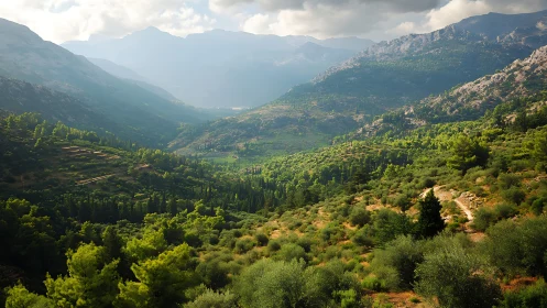 Mediterranean Mountain Valley with Layered Vegetation.