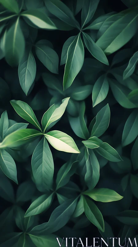 Soft forest leaves in gentle green light inviting calm.