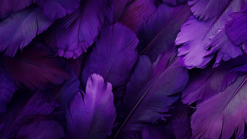 Velvet purple feathers gathered in a dreamy, soft nest.