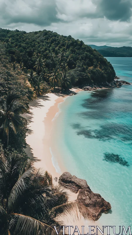 Tropical Coastline: Pristine Beach and Dense Palm Canopy.
