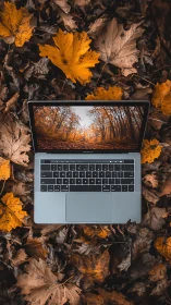 Laptop on autumn leaves with immersive forest display.