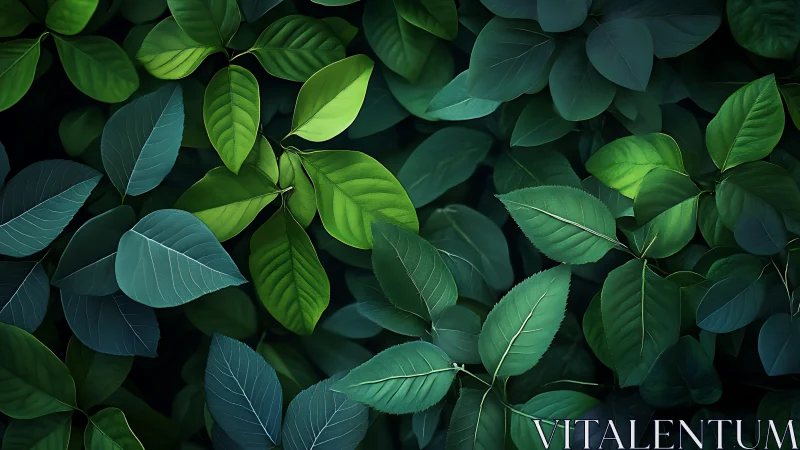 Whispers of midnight foliage in layered emerald hush.