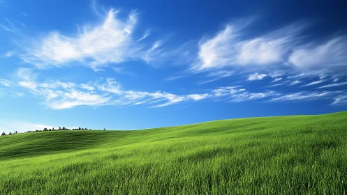 Green hillside under blue sky with high thin clouds.
