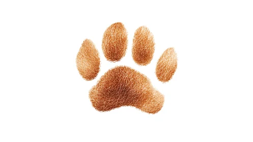 Brown textured animal paw print icon on white background.