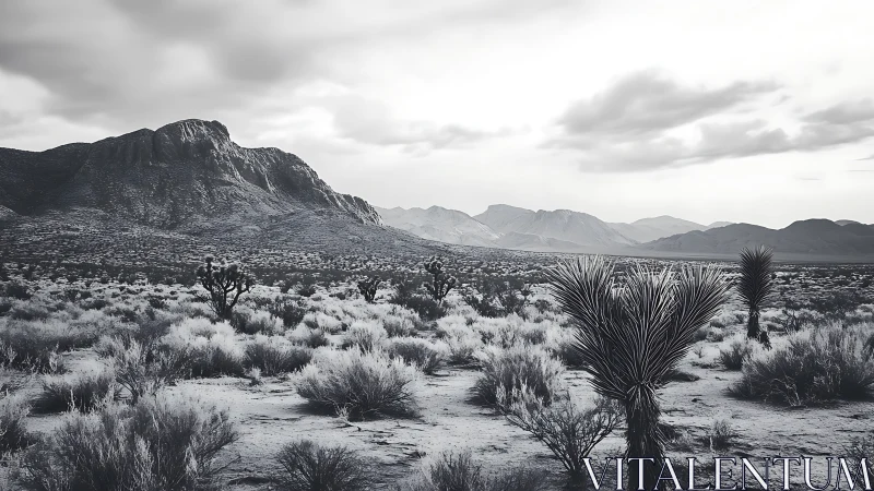 Desert scrub plain under brooding overcast mountainscape.