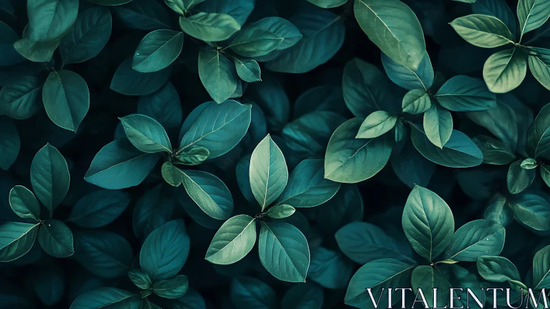 Macro botanical foliage study with teal green leaf canopy