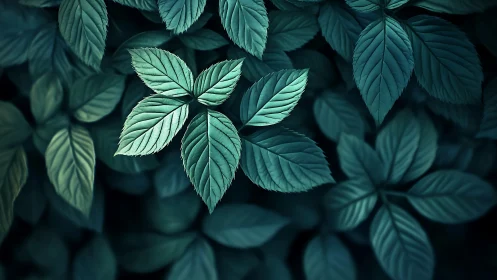 Single teal leaf cluster glows softly amid deep foliage