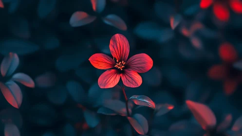 Radiant Red Flower Glowing in Moody Night Garden