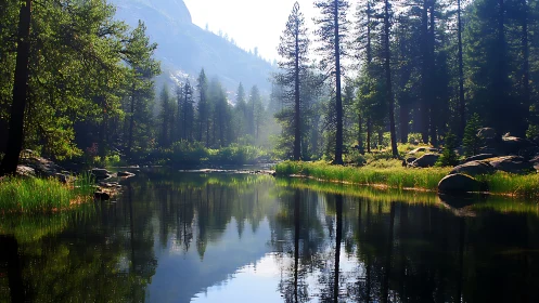 Dense conifer forest surrounds a still reflective mountain lake