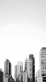 Monochrome city towers rise into stark white sky