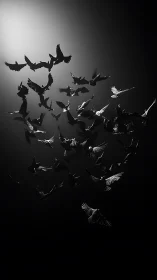 Graceful flock of birds rising through soft monochrome light.