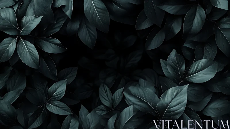 Dark teal foliage pattern with moody minimalist lighting.
