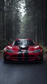 Low-slung red sports car with racing stripes on wet forest road
