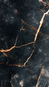 Dark stone surface displays copper-toned fracture network