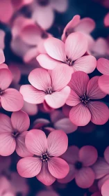 Close-up view of pink floral clusters with focused detail on petal structure