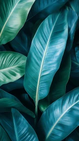 Teal tropical leaves form layered abstract botanical pattern.