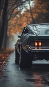 Classic muscle car idling on a quiet misty autumn road.