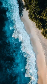 Vertical aerial view of shoreline, surf and coastal forest.