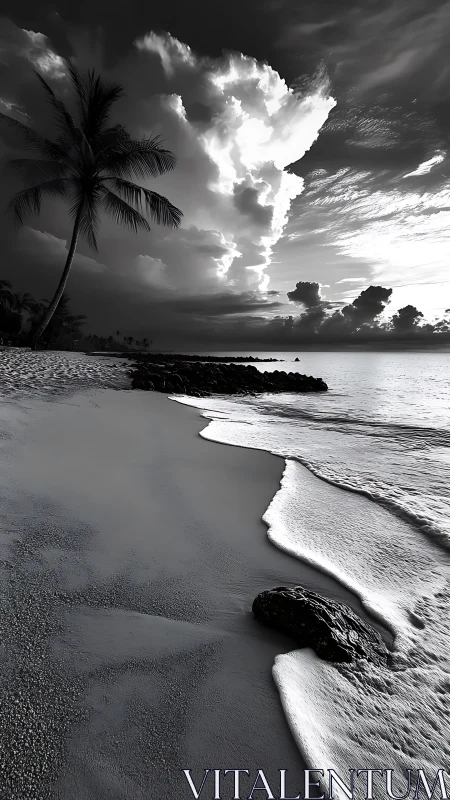Tropical Beach Drama: Storm Clouds and Serene Shores