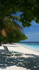 Tropical Beach Paradise. White Sand. Clear Turquoise Waters.