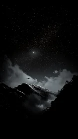 Mountain ridge under star field with silhouetted bird at night.
