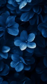 Blue Flowers: Hydrangea Blooms in Monochromatic Palette