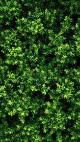 Dense green foliage fills vertical frame with vivid contrast