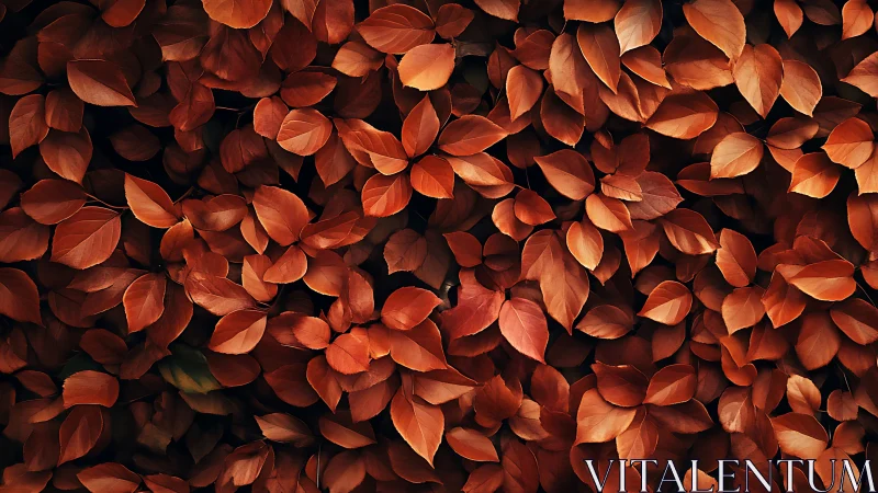 Macro autumn foliage pattern with dense overlapping leaves.