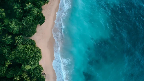 Emerald jungle meets turquoise ocean in nature's most dramatic collision