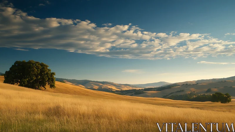 Sunlit dry grassland extends toward distant rolling hills